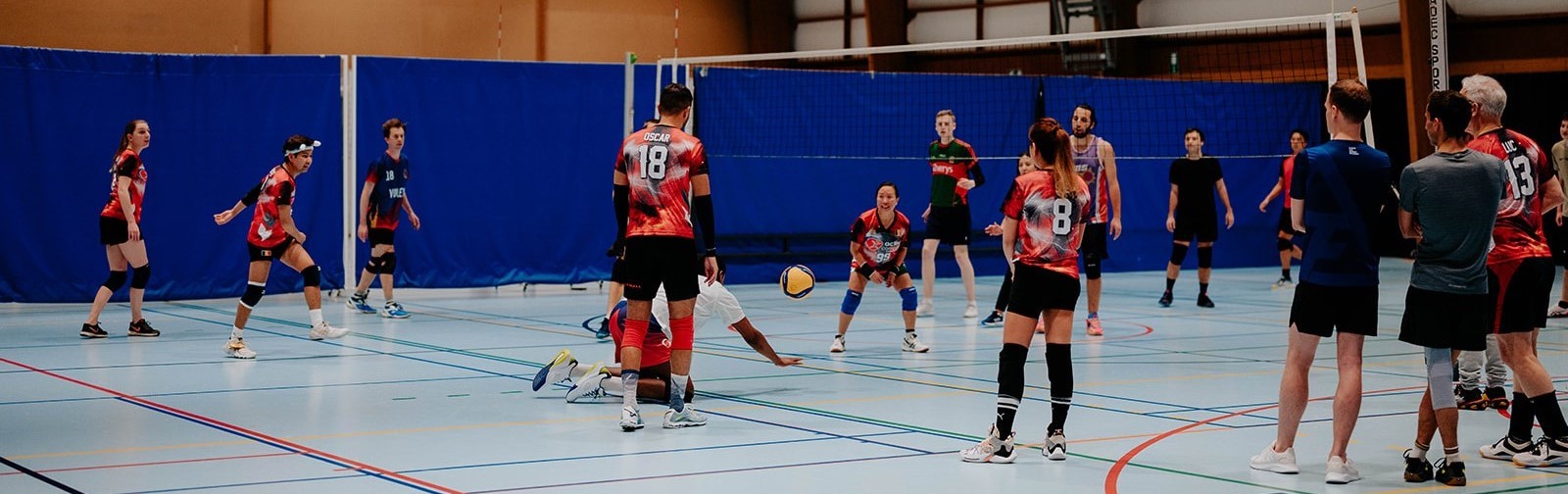 ACA volleybal header